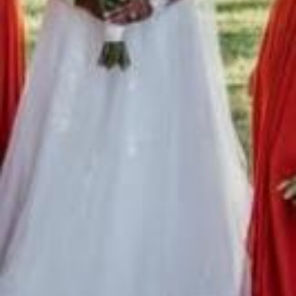 WEDDING DRESS & VEIL - Picture 10 of 10